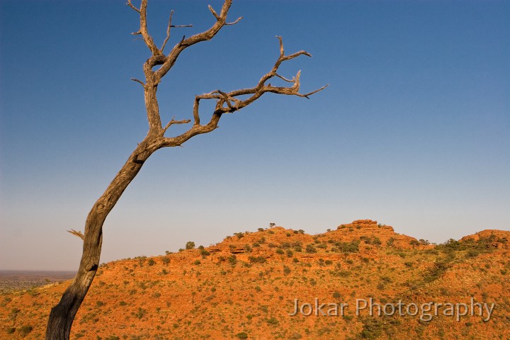 Kings Canyon_20070919_003.jpg